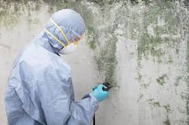 Best Commercial Mold Inspection  in Amarillo, TX